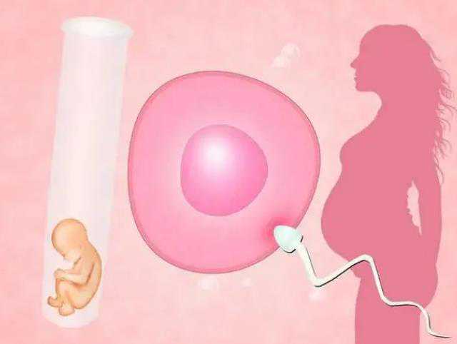 代生子的女人有吗,怎么做能提高试管婴儿胚胎着床成功率？_上海哪有可以做供