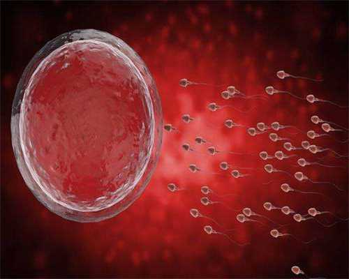 无锡供卵代怀服务|2026安徽试管婴儿医院排名，附成功率及费用介绍