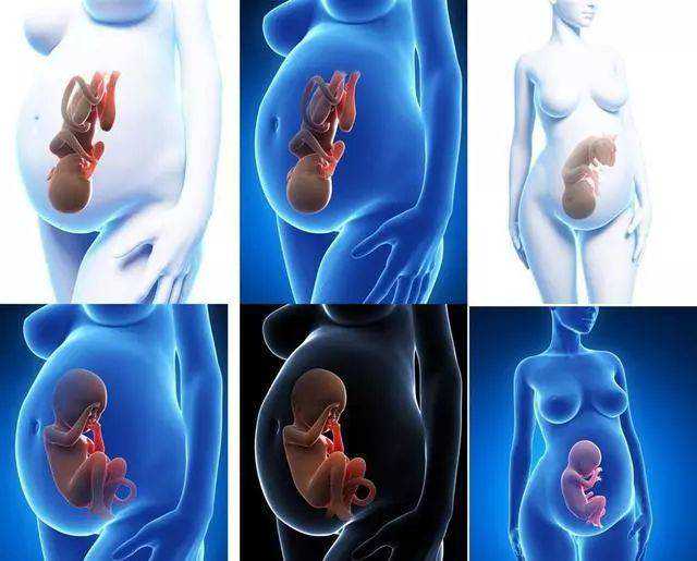 无锡怎样做助孕|徐州中心医院做试管婴儿一代补救二代费用会高多少？