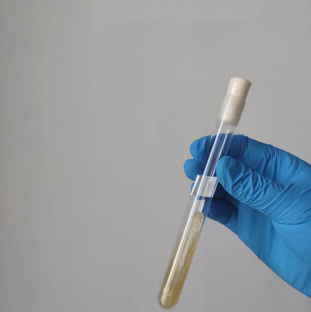 治不孕不育[优贝贝官网坤和助孕怎么样]+泰东方医学部，7大试管备孕问题剖析