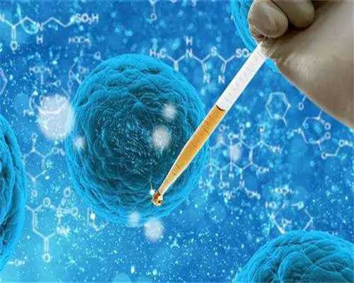 泰国试管婴儿饮食功略（水果篇）