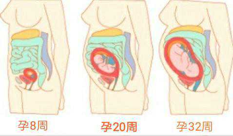 我的试管婴儿经历全过程，试管婴儿剖腹产后十五天（二）