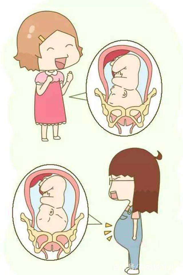 如何选择一家靠谱泰国试管婴儿医院?