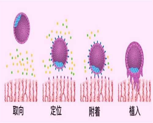 哪个医院可以无锡供卵|1MhC2_三代试管婴儿技术助孕的囊胚和胚胎相比有哪些优