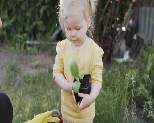 2026无锡新生儿医保办理流程,无锡第三代试管婴儿的流程是怎样的