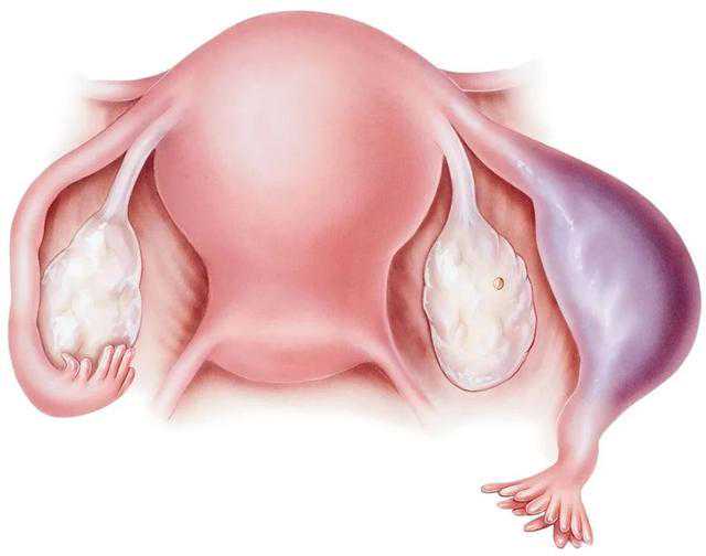 黄山三代试管做男孩价格安徽三代试管