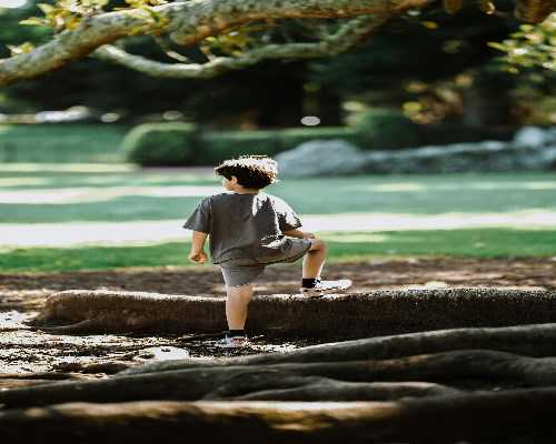 多囊肾做试管的费用是多少？