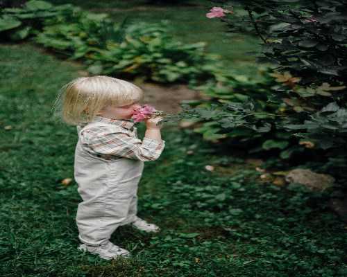 代孕那最好[世纪助孕官网]+2026在扬州做一次试管婴儿大概需要多少钱