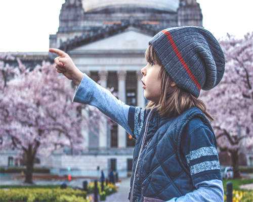 民间偏方 试管生龙凤胎机率