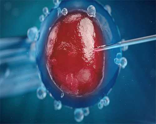 深圳代生子机构,天津助孕公司哪家好？天津助孕公司哪家好只找**！-怀孕后累