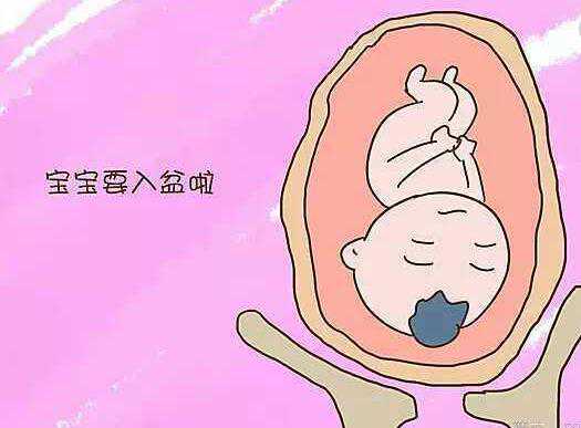 伊利舒化奶 舒化无乳糖牛奶的优缺点