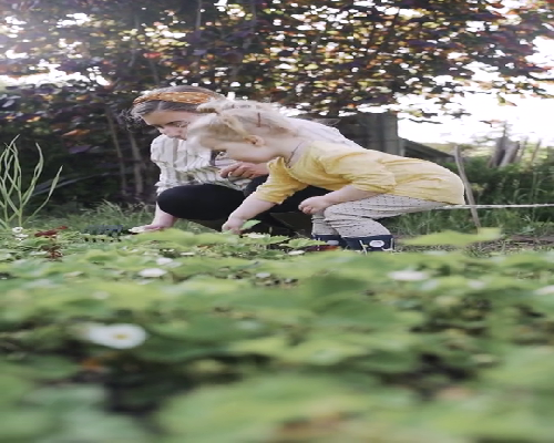 两个女儿第三胎试管怎么做？