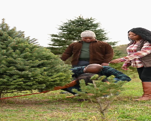 无锡代孕中介服务公司|试管婴儿来之不易，避免宝宝出生无伤害，珍贵儿父母