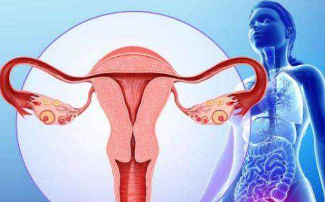 正规代生网,试管婴儿几率多大_去做试管婴儿时间具体是多长？具体怎么安排？