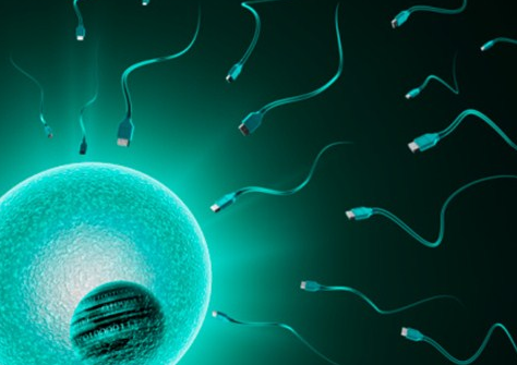 无锡找女子代孕信息|两步移植法移植两个胚胎成双胞胎的多吗？