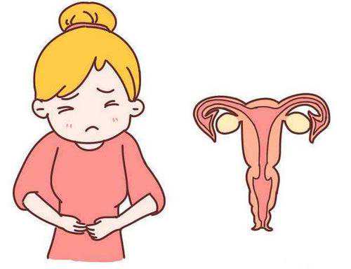 孕前饮食相关知识点