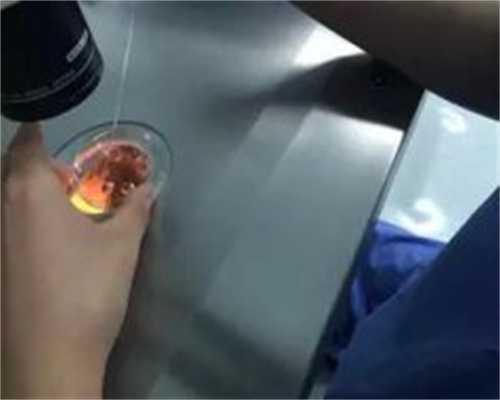 无锡代孕生孩子合法吗|五红汤禁忌人群有哪些？