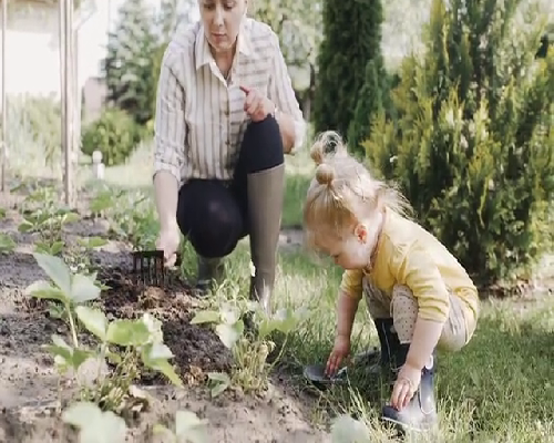 无锡代孕中心真假|AMH小于0.06做试管成功率高吗？